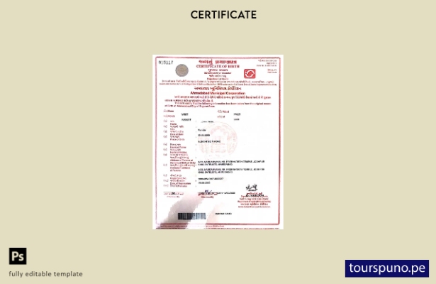 Plantilla de certificado de nacimiento del Departamento de Salud de la India lis